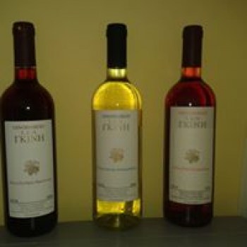 GKINIS WINES 11